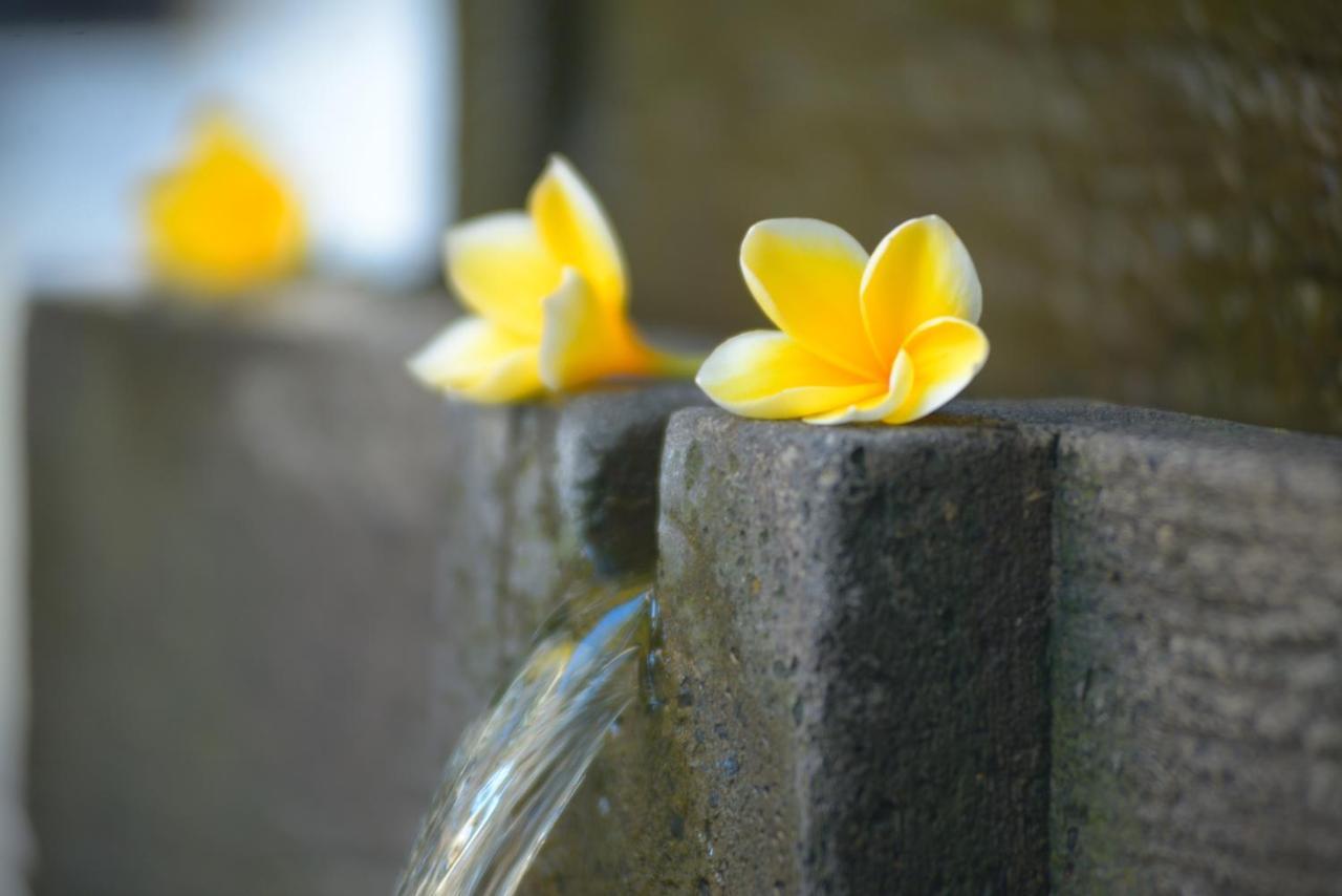 โรงแรมอันดารี เลเกียน Bali ภายนอก รูปภาพ